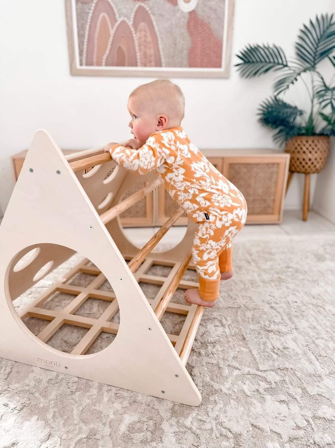 Climbing Triangle The Ultimate Indoor Play Gym - Main Image